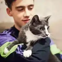 带猫的好看头像欧美欧美人士抱猫的头像