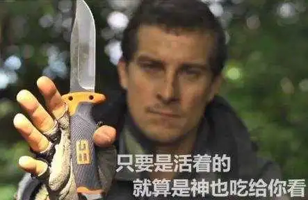 十大最凶残动物的霸气座右铭,贝爷你们说啥我听不太清楚