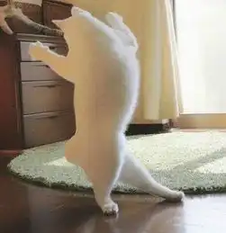 爆笑囧图看到胸就本性毕露的阿汪