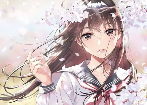专栏