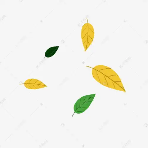 落叶卡通png素材图片免费下载千库网