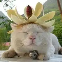 闺密头像两张一人一张可爱萌不带字