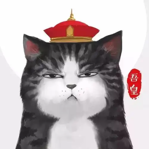 白茶走心的作品才能红,用心的生活才会好