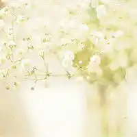 色彩淡淡的就很好超棒的小清新碎花头像