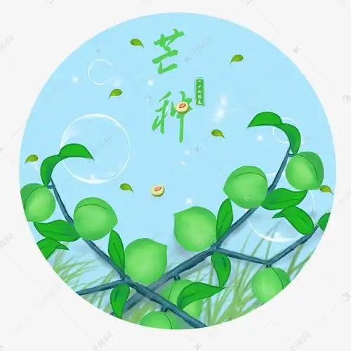 二十四节气芒种小清新手绘青梅插画素材图片免费下载千库网