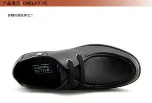 骆驼动感2014新款优雅商务男士系带头层小牛皮舒适透气绅士皮鞋板鞋dd171231706