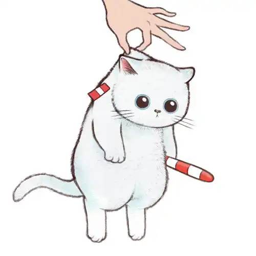 动漫头像猫系头像