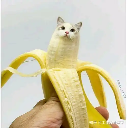 知乎日报知乎