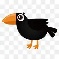 黑乌鸦头像黑色乌鸦头像图片微信头像图片大全