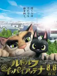 福州今晚燃爆了吴京黄子韬关晓彤王祖蓝夫妇都来了家门口的丝路电影节就是牛