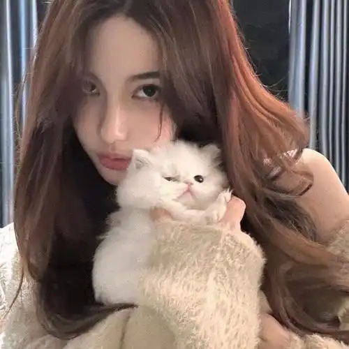 谁家的猫猫有对象,女生头像