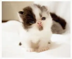 开发区童牛岭上都有些什么啊