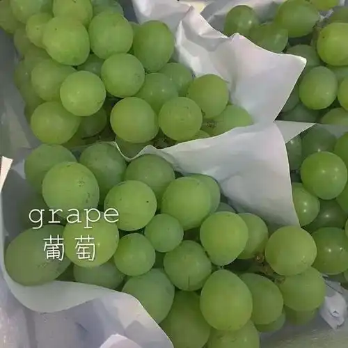 绿色系女生头像捧花绿色