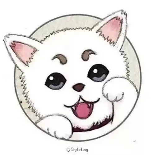 考研风采走心考研经验分享你,值得拥有