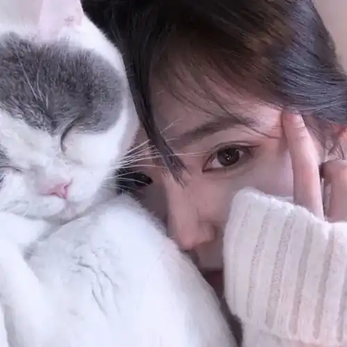 女生头像精选合集