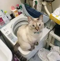 也许就因为多看了你一眼,然后就变成你的奴隶...