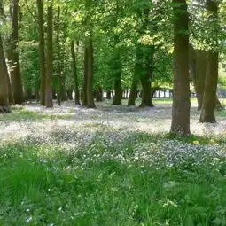 绿色系头像夏天的味道