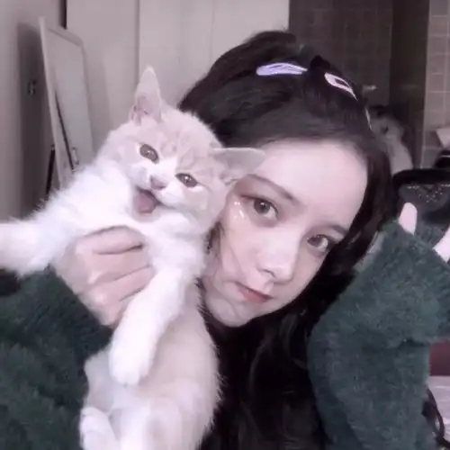 猫系女孩独有的特点头像