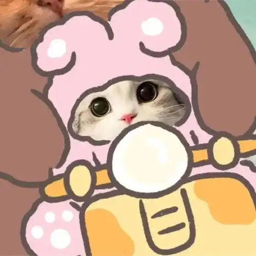 情侣头像超可爱的猫猫情头