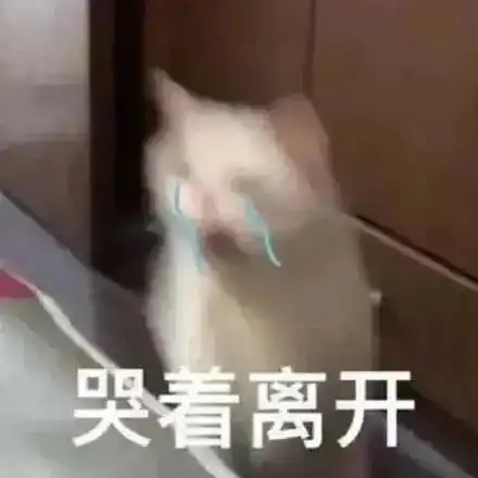 合法但有病的发疯小猫表情包