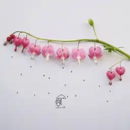 可爱粉色系列的静物头像大全风景静物头像我要个性网