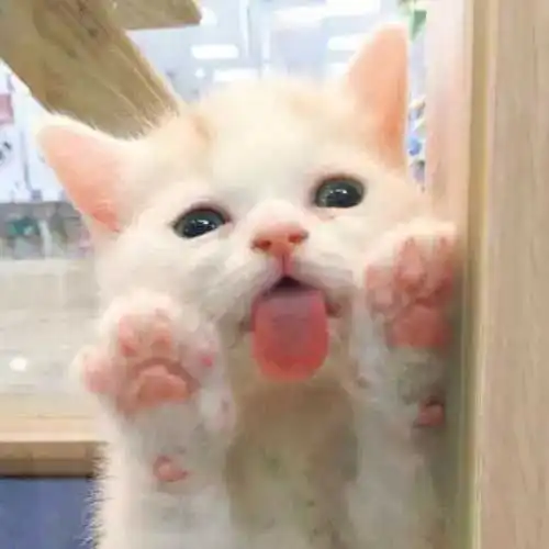 开心一刻笑话一男一女相亲,两人一见中情,有种相见恨晚的感觉