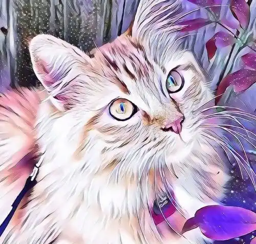 小猫不幸卡在墙缝中,母猫喵叫引来女孩砸墙救猫,上班还带着小猫