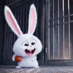 为什么乌鸦像写字台呢