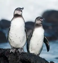 这些冷门小知识,99的厦门人都不知道比如你说自己是小仙女,其实是在骂自己