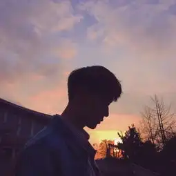 抖音最热门情侣头像没有你的夜晚