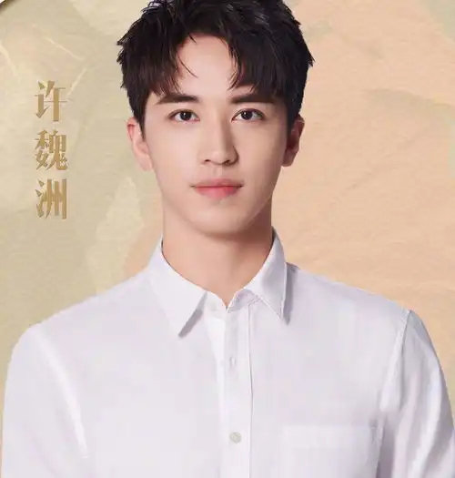 许魏洲个人资料及作品许魏洲是哪里的