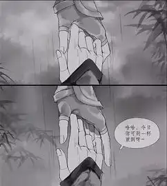 魔道祖师原来13年里蓝湛这么过的,心疼含光君