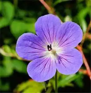 禁欲系男神什么意思禁欲系男神的3条标准