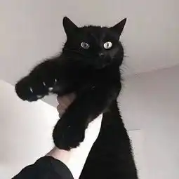 邚人