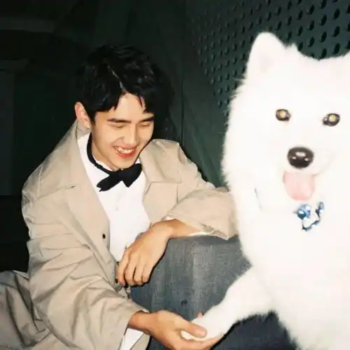 头像壁纸刘昊然心动弟弟合集