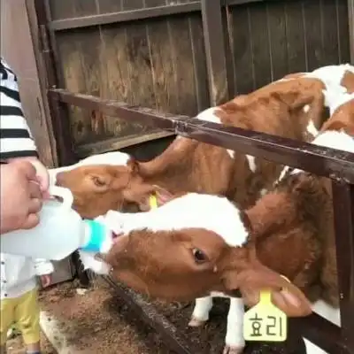男朋友不是人系列情头一对有深意有内涵的头像