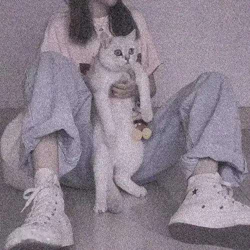 头像图片丨女生头像丨可爱的猫系女头1214