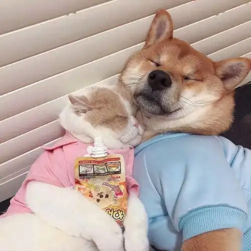 从没去过巴塞隆纳