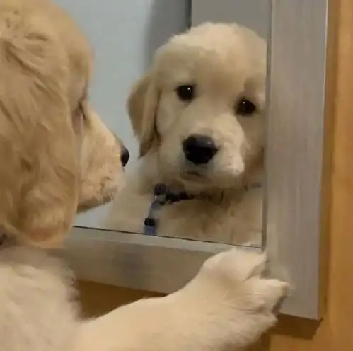 那些年惊艳了我们青春的小说男主