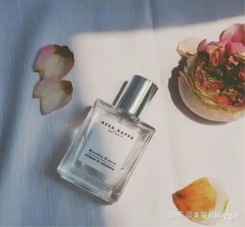 能推荐一些适合女生的闻起来很冷冽又小众的香水吗