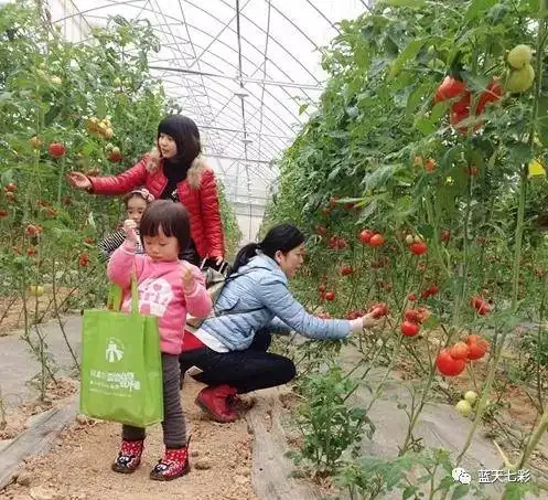 50种休闲农庄亲子体验项目