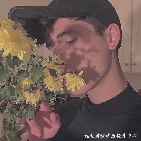 完全免费的整形计划