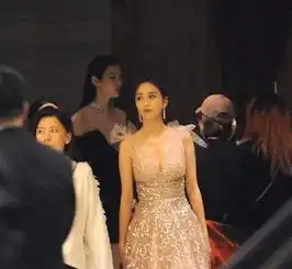 路人镜头下的佟丽娅,网友除了美你还会什么