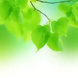 厚道的力量