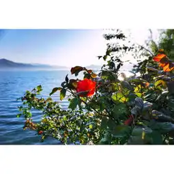 岁月你好,我在丽江慢节奏旅行丽江泸沽湖六天五晚