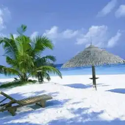 微信头像大全面向大海