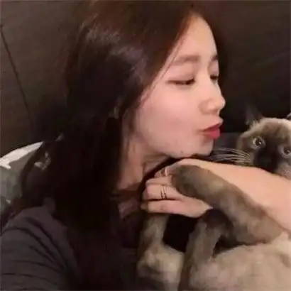 女生抱猫背影头像
