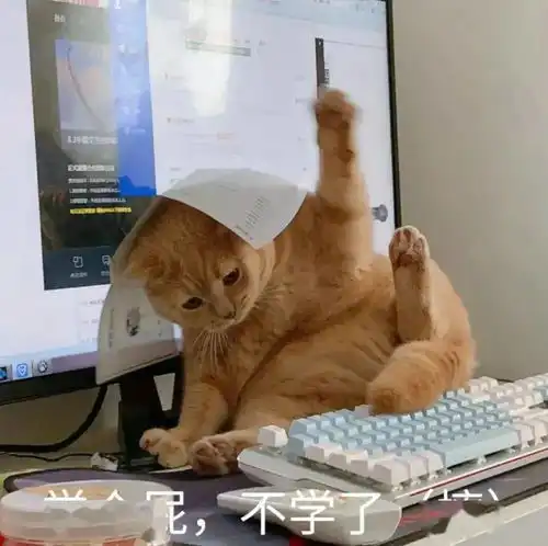 搞笑表情包做人不拽等着被甩