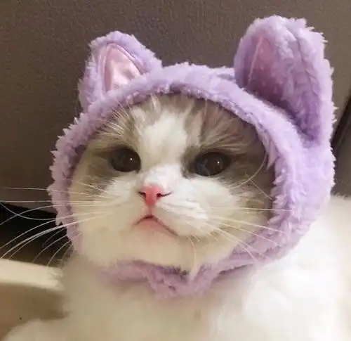 我的收藏