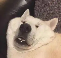 哪些瞬间你才最想摆脱单身